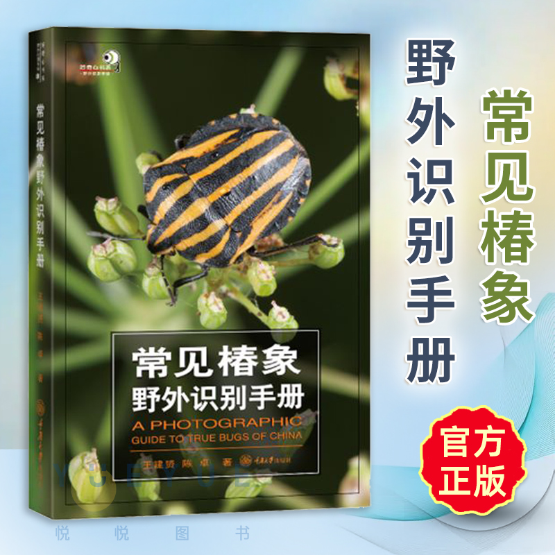 常见椿象野外识别手册
