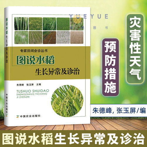 图说水稻生长异常及诊治