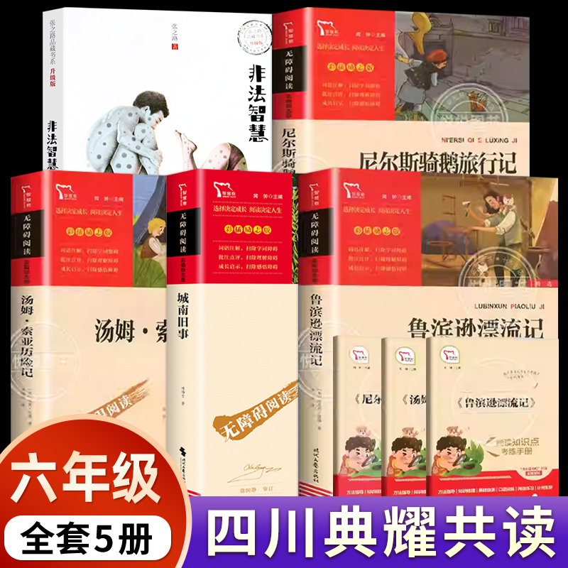 汤姆索亚历险记六年级下册