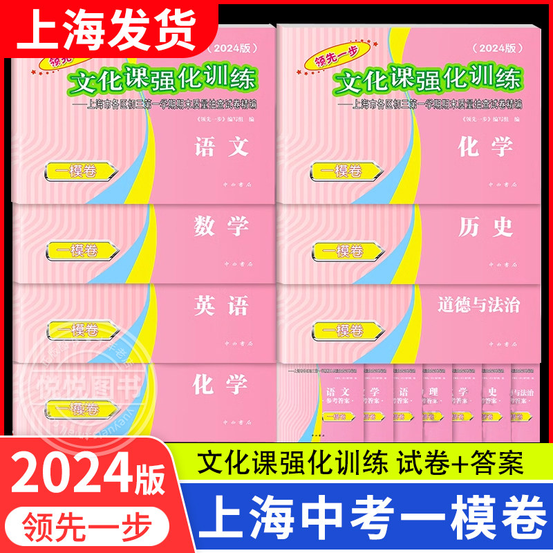 2024年上海中考一模卷全套语文数学英语物理化学历史道德与法治试卷领先一步文化课强化训练初三九年级摸考试卷子一模卷上海2023