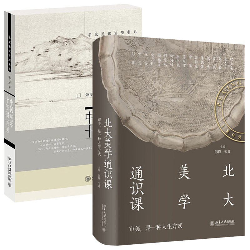中国美学十五讲+ 北大美学通识课 朱良志 彭锋 讲座实录 附赠课堂视频 中国古代佛教艺术欣赏敦煌艺术中国美术史 宋代诗词自然观照