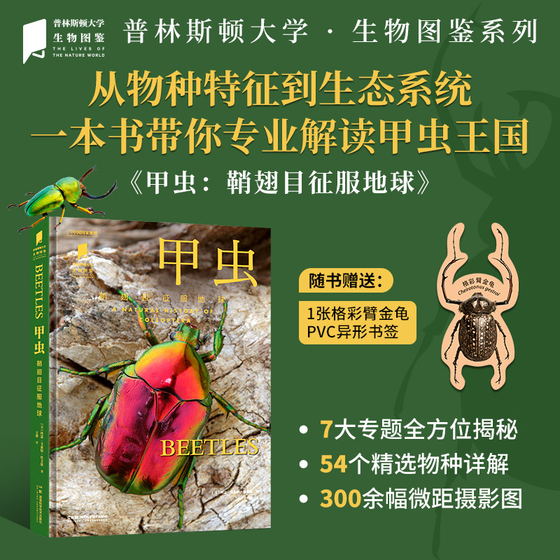 甲虫: 鞘翅目征服地球 | 普林斯顿大学生物图鉴系列 300余幅精致高清的甲虫图片 讲述甲虫物种及其生态学特征 自然百科科普图书籍