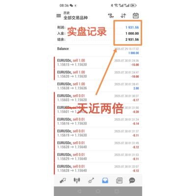 回撤少性平台外汇EA马丁反高策略收益黄金专用暴利MT4