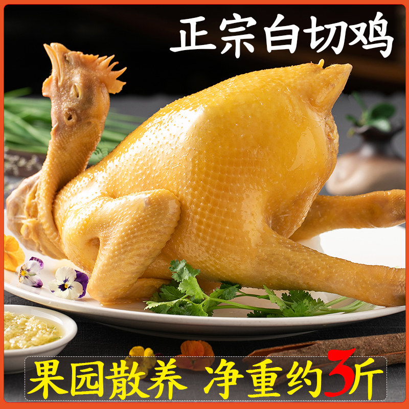 正宗广东白切鸡整只熟食粤菜即食广式广州湛江白斩鸡手撕真空零食_虎窝淘