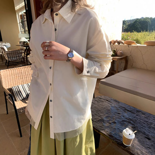 衬衫 Gary 调性穿搭设计感纱纱雾感长袖 韩版 宝藏Hers一勺甜女装