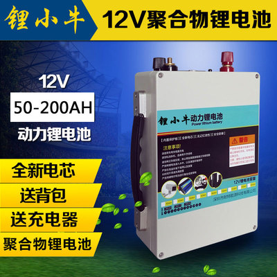 锂小牛12V锂电池60AH80AH100AH大容量动力推进器氙气灯专用锂电瓶
