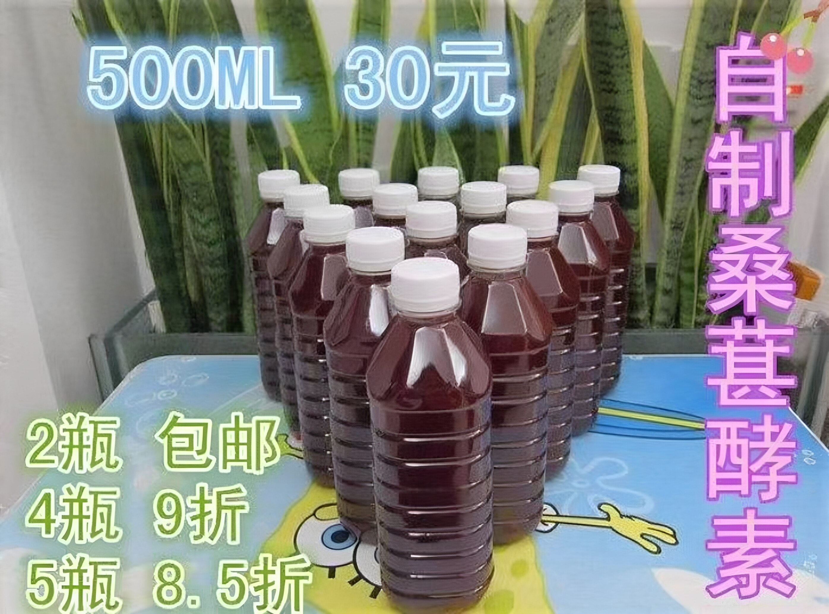 桑葚酵素红糖发酵 自制水果酵素原液 非日本台湾酵素粉