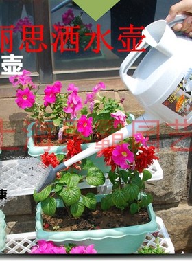 爱丽思浇花壶IJ-33树脂长嘴洒水壶IJ45浇水壶IJ65L喷壶花多多肥料