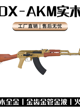 DS Akm实木全行程电动连发突击玩具步枪AK系列wargame下场玩具枪