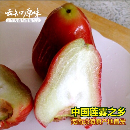 莲雾之乡海南新鲜黑金刚莲雾 4斤装大果 (20个左右) 现摘脆甜多汁