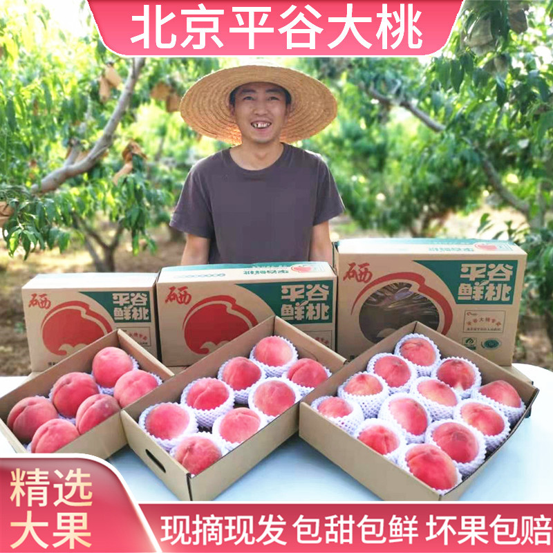 平谷鲜桃水蜜桃北京新鲜现摘礼盒