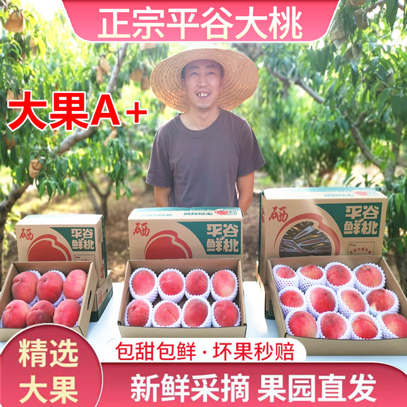 正宗平谷大桃北京新鲜久保