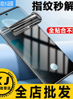 适用vivo Y300 S20 S19 S18 S17E X200 Ultra X90 X80 S16 Pro X70 Nex3 IQOO12指纹解锁防窥曲面水凝膜软贴