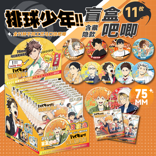 排球少年吧唧盲盒75MM马口铁徽章胸针胸针盲抽福袋盲袋动漫周边