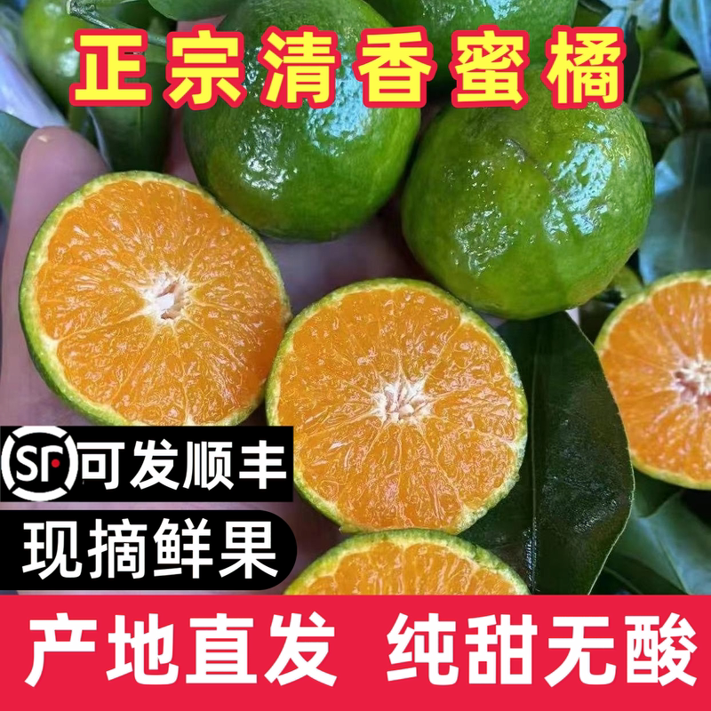 广西桂林清香橘纯甜无酸蜜橘茶橘子清香蜜桔砂糖橘巴西桔清香茶橘