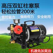 隆迈手提式 打药机农用电动果树喷雾器12v60v24v220伏双缸柱塞泵