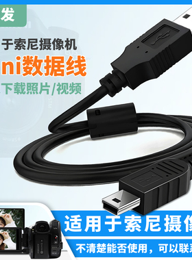 振发 适用于索尼DV摄像机数据线HDR-CX100E CX150E CX180 CX210 CX240E CX270 CX550E CX700 电脑连接线