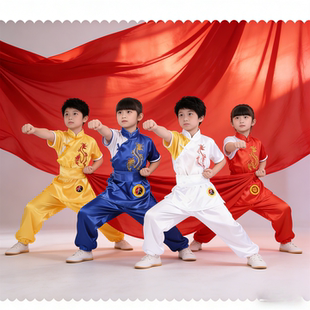精忠报国儿童武术舞蹈演出服男女学生表演武术操弘扬传统武术功夫