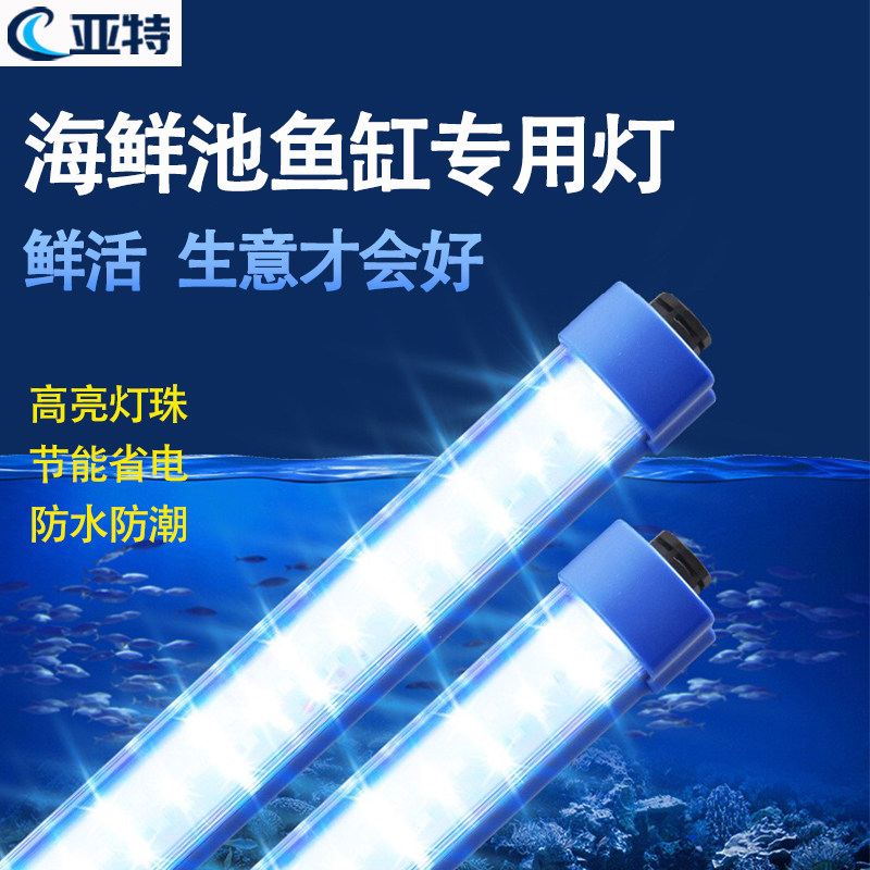 海鲜池鱼缸led专用220V防水防潮高亮蓝白光养鱼照明长条灯水族灯