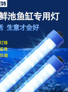 海鲜池鱼缸led专用220V防水防潮高亮蓝白光养鱼照明长条灯水族灯