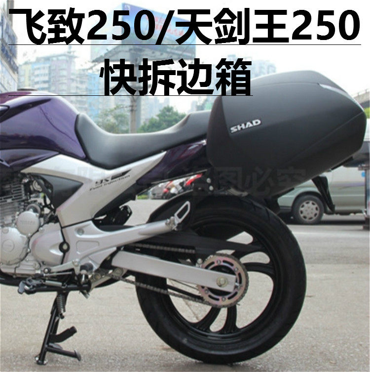 雅马哈飞致ys250边箱天剑王ybr250后侧箱挂箱快拆式旅行箱后货架