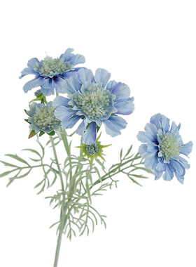 高品质仿真花轮峰菊家居装饰插花摆件旅拍道具挂墙花艺设计婚庆花