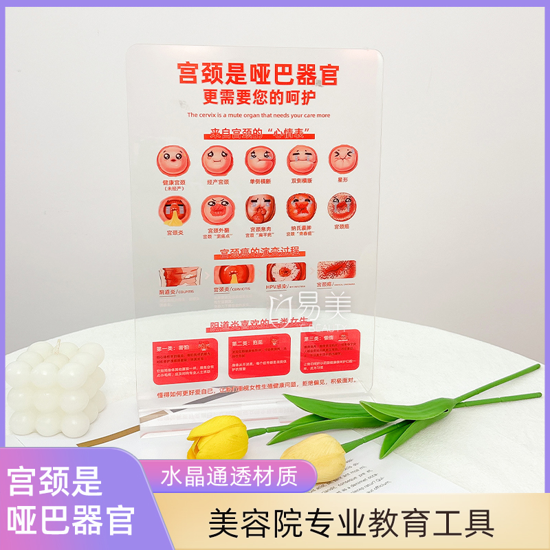宫颈是哑巴器官模型美容院宫颈健康教育工具宫颈病变演示宣传道具
