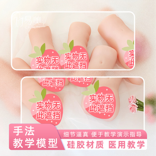 产康店手法教学模型月嫂培训内雕练习硅胶女性医学解剖模具美容院