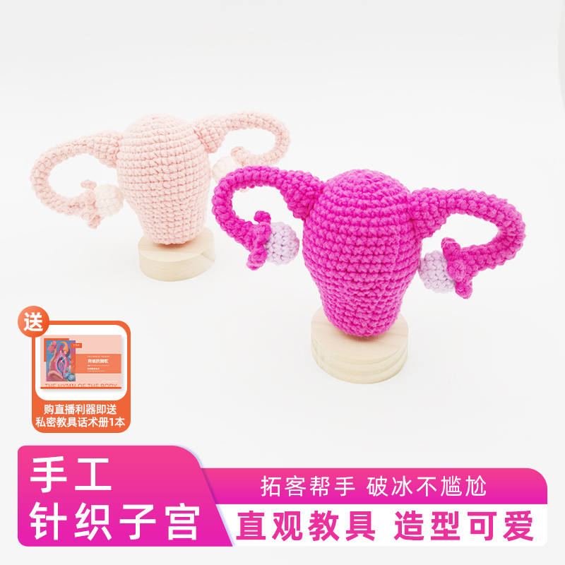 针织子宫模型妇产科培训教具产康沙龙私密氛围摆件阴蒂学生教育