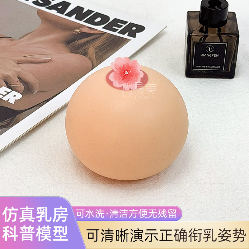 催乳师培训用仿真乳房模型硅胶教具演示哺乳姿势堵奶疏通手法教学