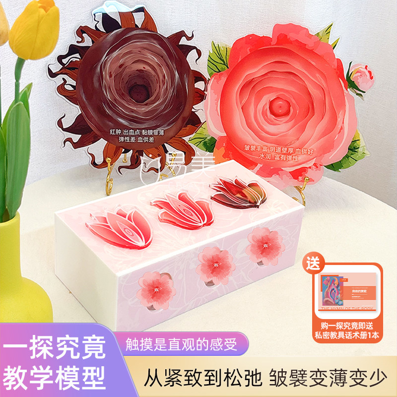 一探究竟教学触感模型艺术指尖蜜境灵魂通道产康美容院摆件拓客
