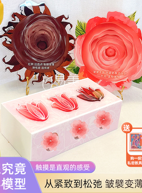 一探究竟教学触感模型艺术指尖蜜境灵魂通道产康美容院摆件拓客