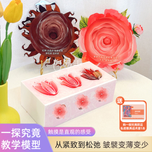 一探究竟教学触感模型艺术指尖蜜境灵魂通道产康美容院摆件拓客