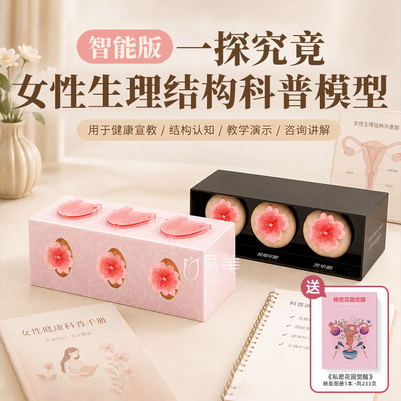 妇科健康科普教学模型女性生理结构展示教具护理课程培训宣教摆件