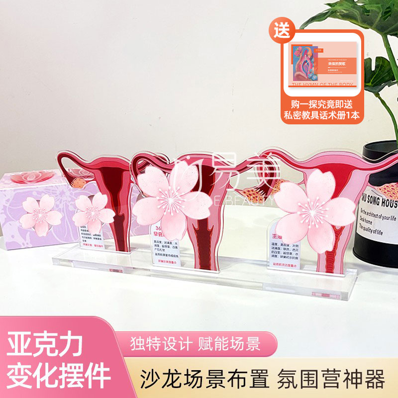 亚克力女性子宫变迁模型沙龙布置