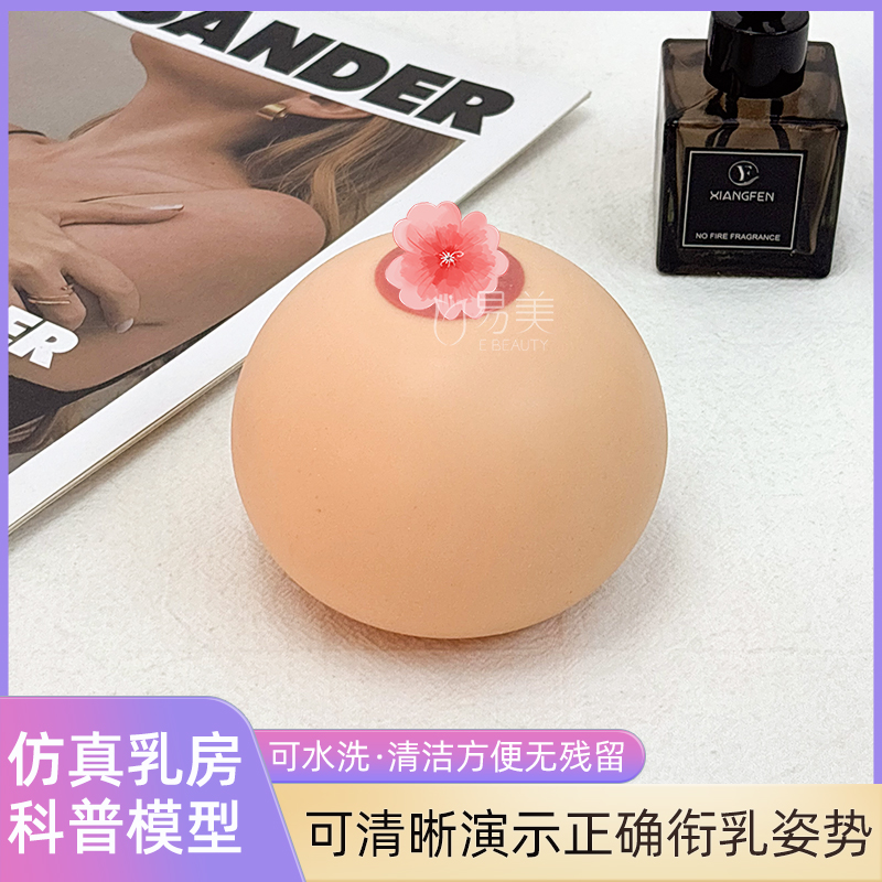 催乳师培训用仿真乳房模型硅胶教具演示哺乳姿势堵奶疏通手法教学