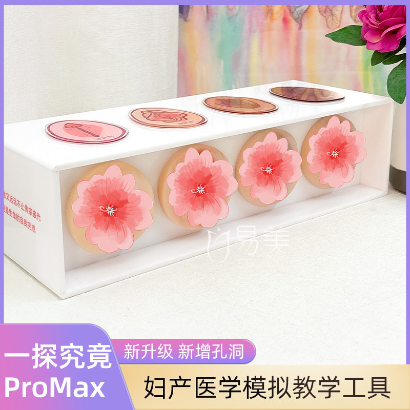 专业女性生殖周期演示工具一探究竟PROMAX美容院智能健康科普教