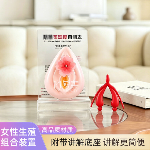 女性外生殖组合装置解剖