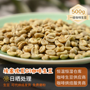 埃塞瑰夏G1日晒咖啡生豆特浓可定制烘焙2024新产季埃塞生豆 500g