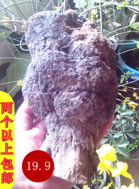 麻梨疙瘩原料/陈化/毛料摆件