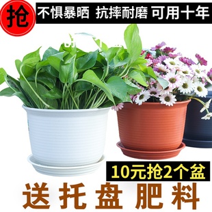 多肉小花盆室内阳台 环保塑料花盆加厚 树脂防陶瓷花盆大号绿萝月季