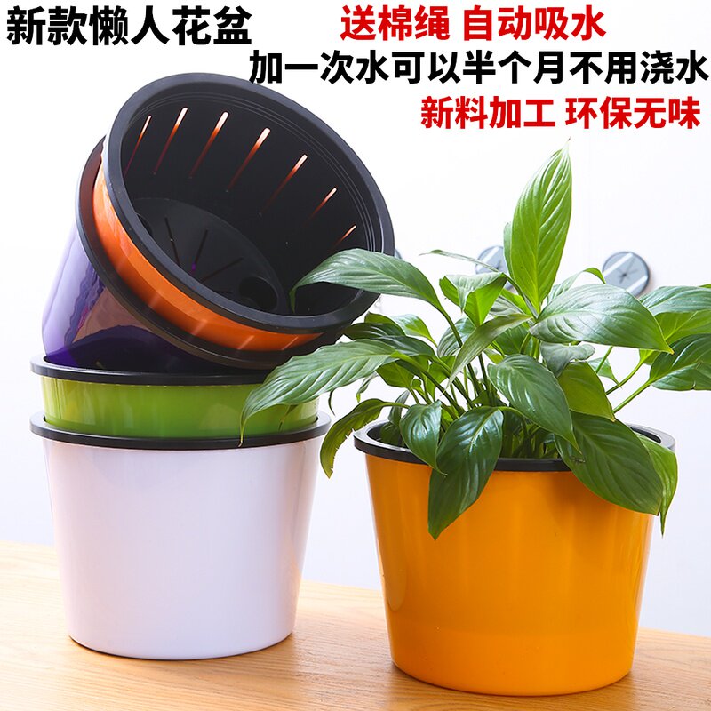 懒人花盆自动吸水免浇灌铜钱草绿萝水培植物盆栽树脂塑料花盆包邮