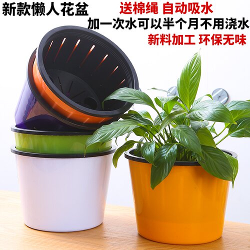 免浇灌水培植物塑料包邮懒人花盆