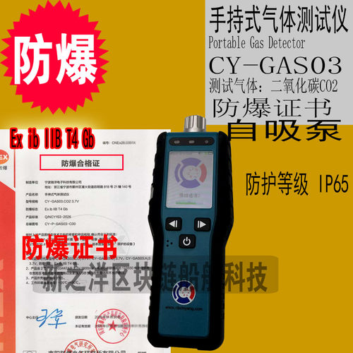 新规CY-GAS03二氧化碳测试仪气体检查仪CO2检测仪防爆EX I IIBT4