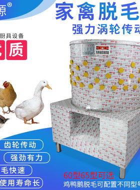 齿轮传动三鸟家禽乳鸽脱毛机