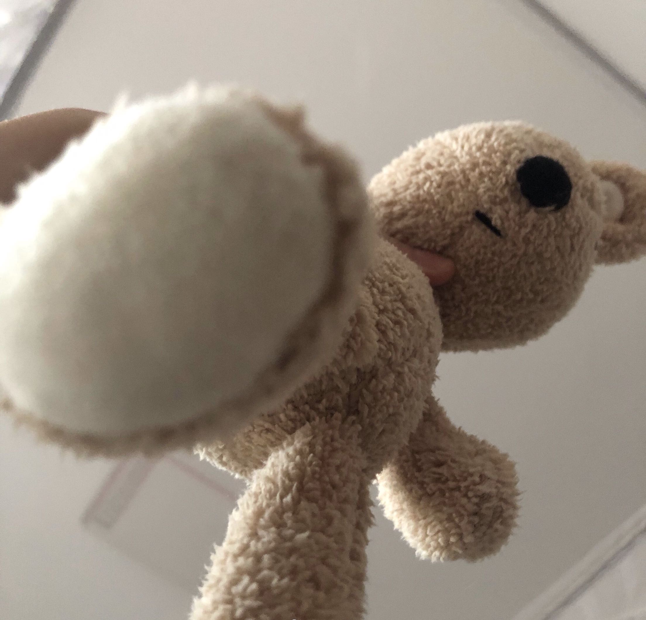 她的兔子/可爱毛绒兔子玩偶安抚玩具不踩雷女生礼物远近渔同款兔在类目 玩具/童车/益智/积木/模型, 毛绒布艺类玩具中 - 来自Buy2taobao.com提供专业的淘宝代购服务