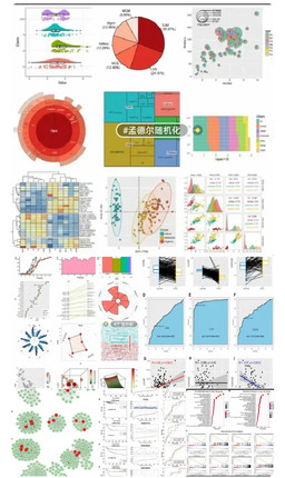 留学生sas编程rstudio码写stata分析r语言报告spss统计python
