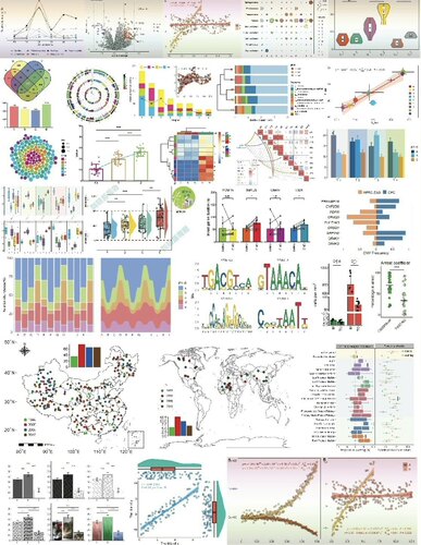 R语言数据分析做 SPSS数据分析 R语言作图做可视化Origin绘图