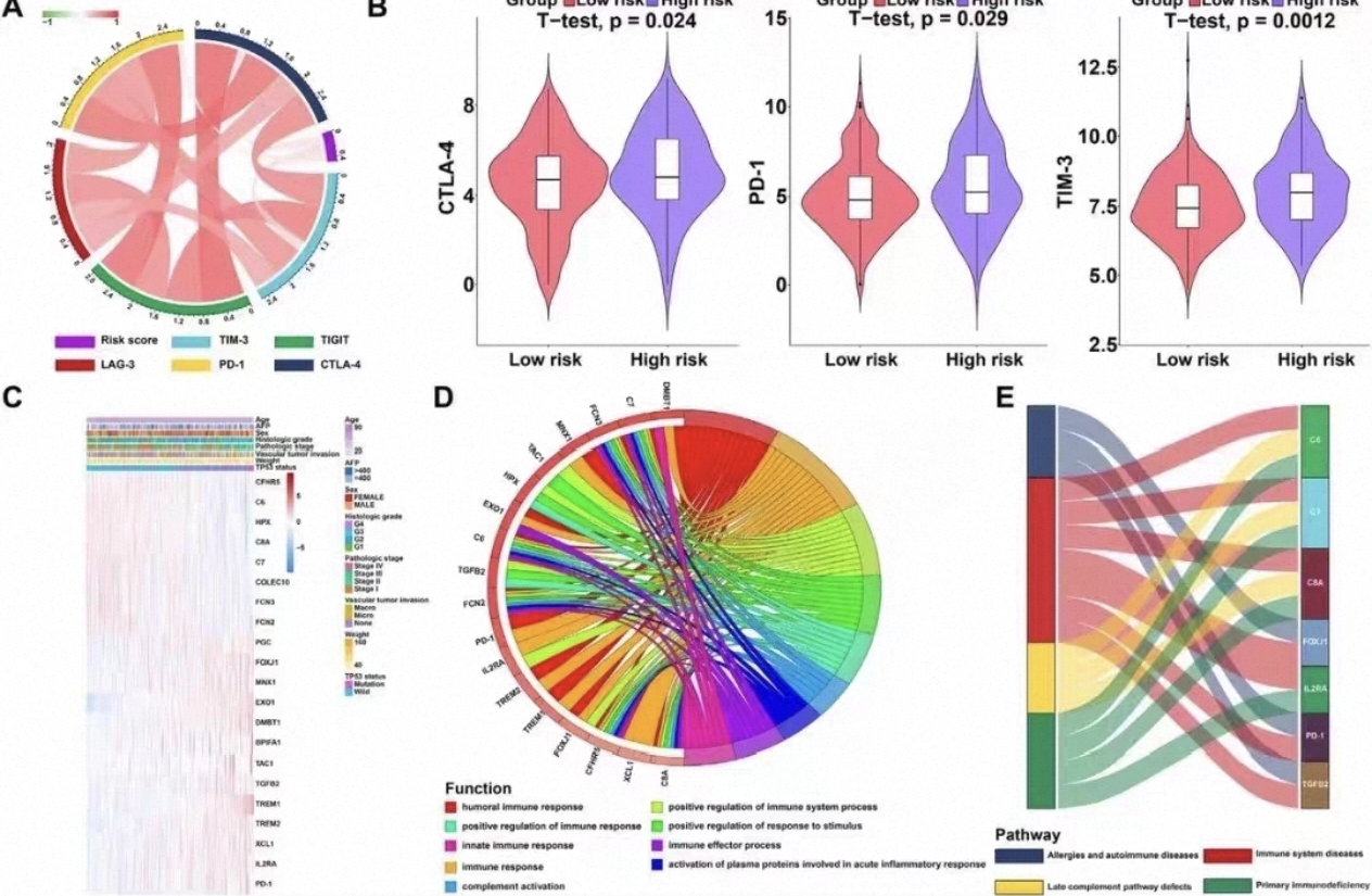 个人】r语言生信单细胞生物信息瀑布图meta绘图医学统计微生物roc
