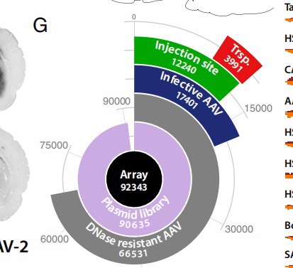个人】r语言森林图热图画图作图绘图 医学统计分析代码 实证报告
